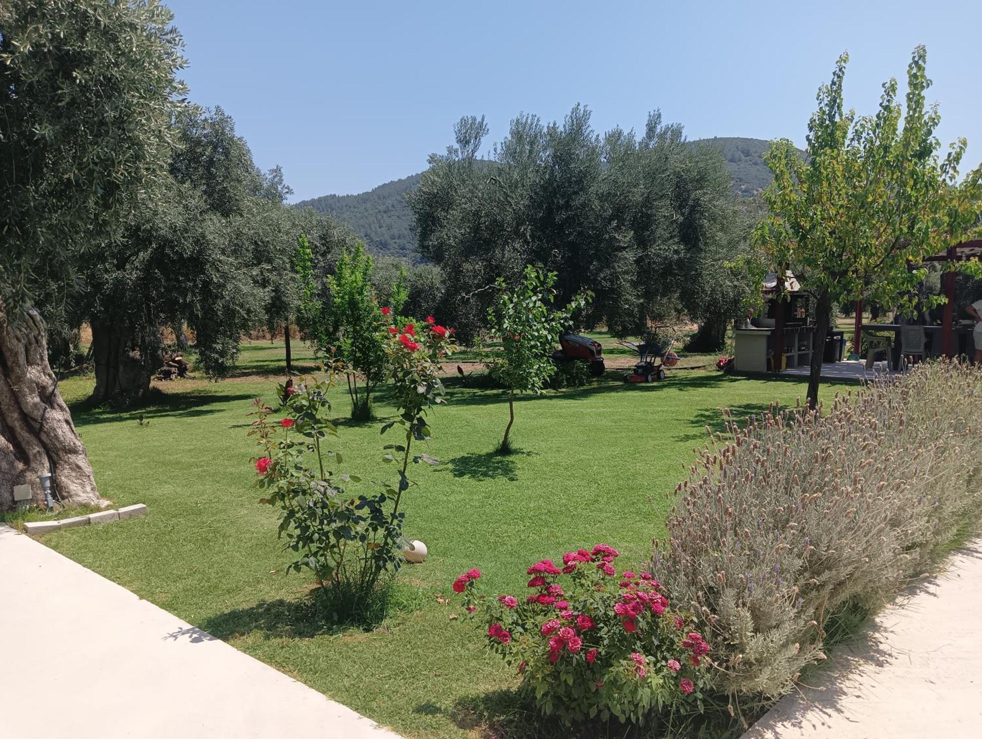 Anatoli Studios Skala Rachoni  Exteriér fotografie